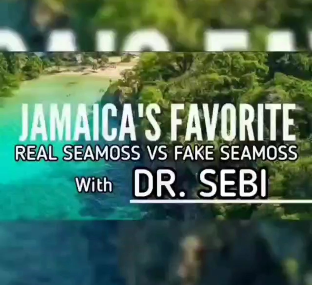 Real Seamoss vs Fake Seamoss Wtih Dr Sebi