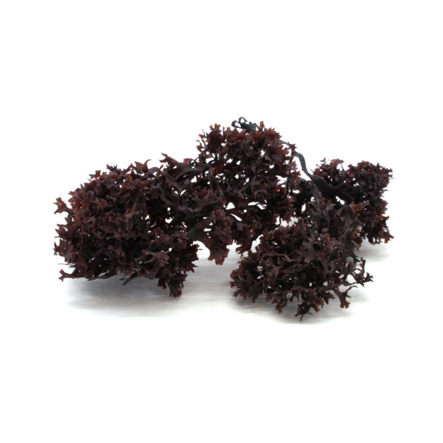 
                  
                    Raw Dry Sea Moss (Large Bag)
                  
                