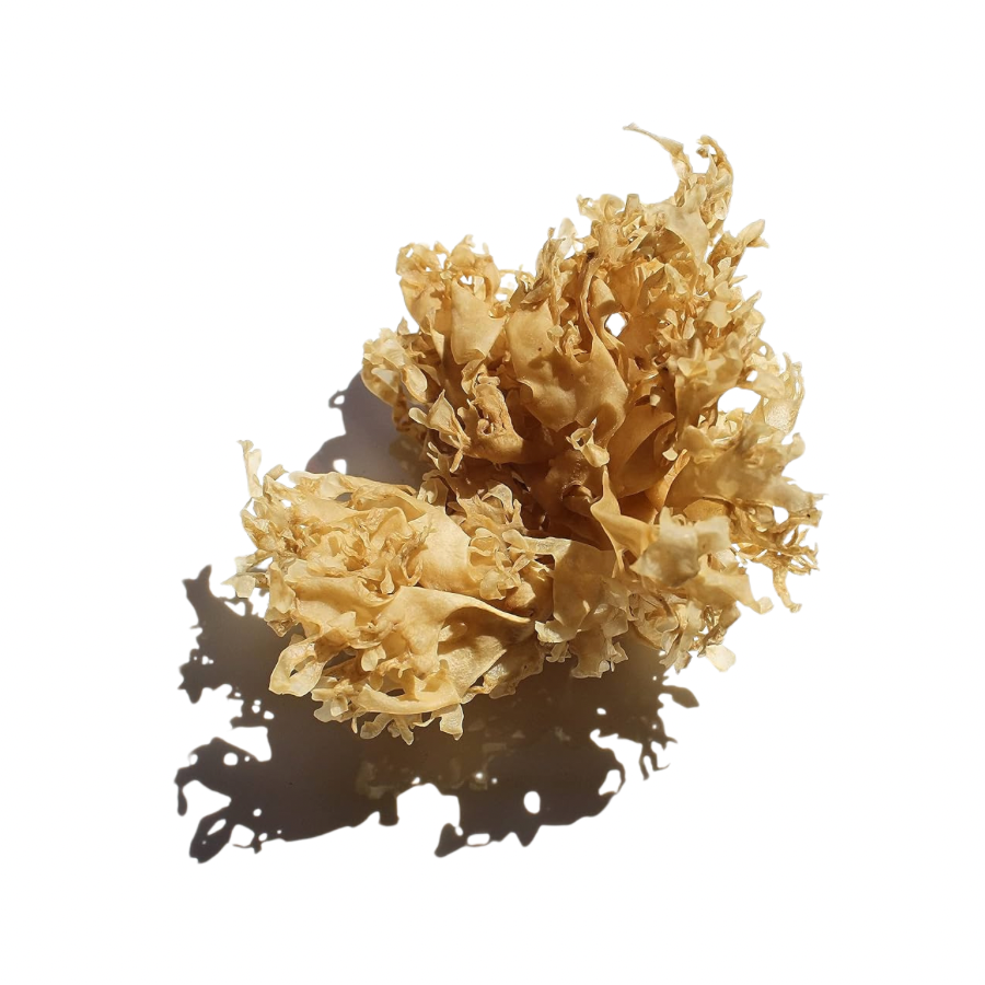 Raw Dry Sea Moss (Small Bag)