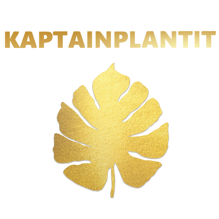 KaptainPlantit